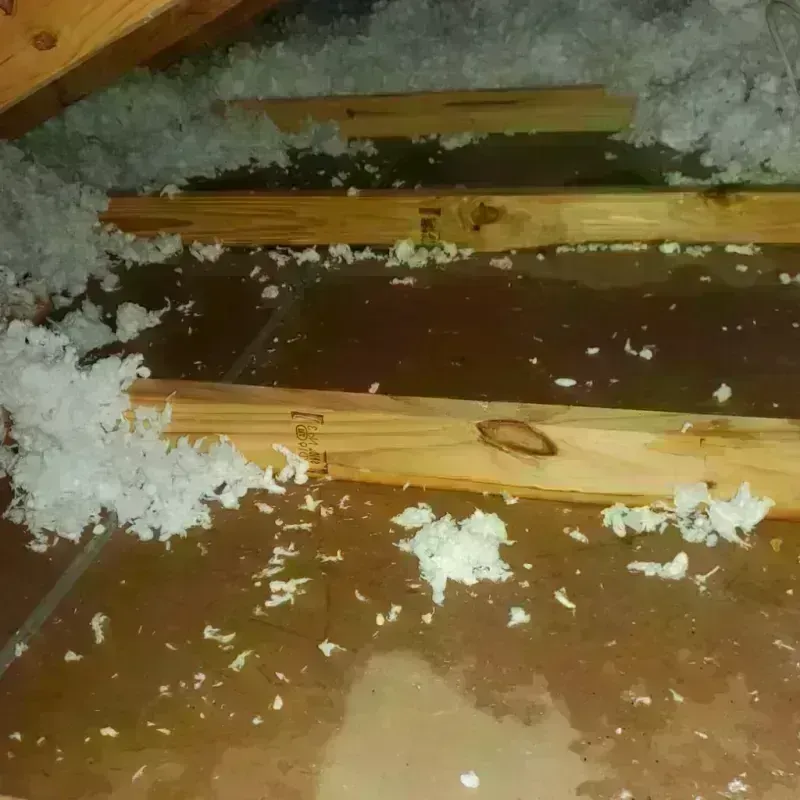 Attic Water Damage in Calhoun County, WV